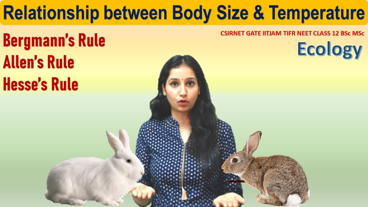Relationship between Temperature & Body Size I Ecology- Bergmann Allen Hesse's rule I CSIRNET NEET