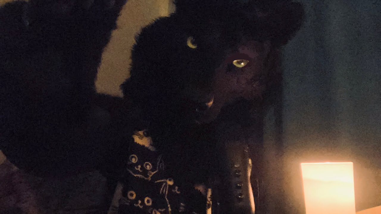 Snolf Tries ASMR | Soft speaking, tapping, eyes closed trigger