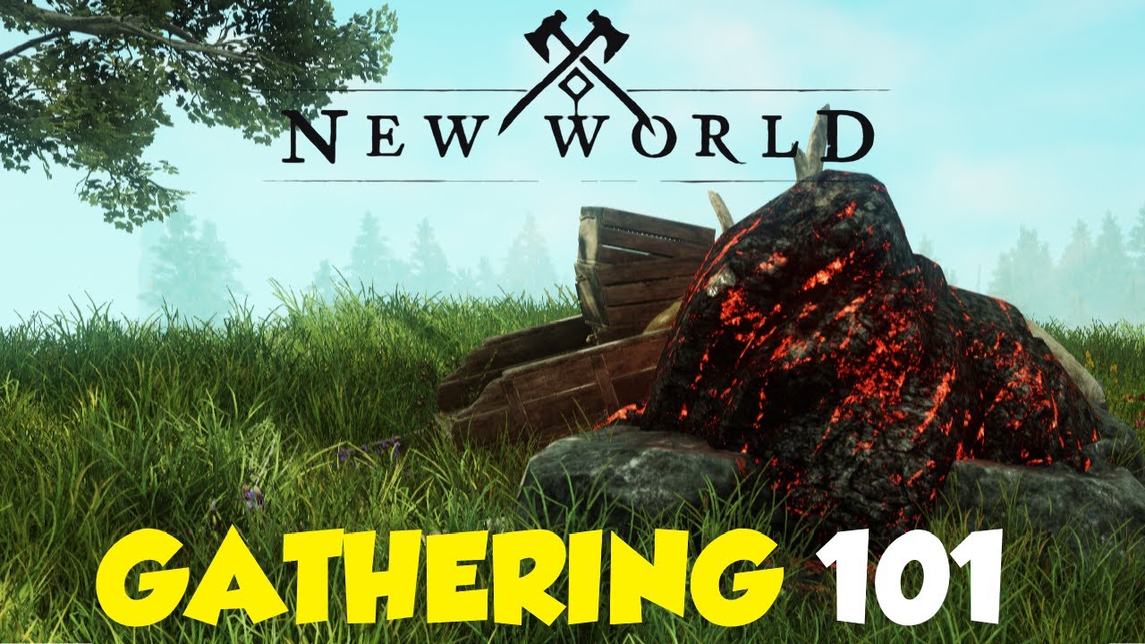 New World: A Beginner's Guide to Gathering