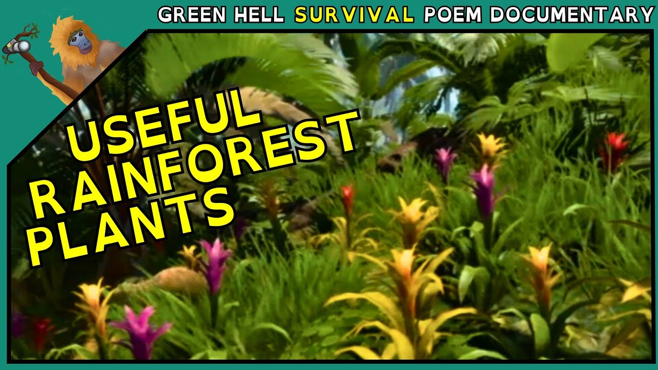 A Survivor's Guide to Rainforest Flora | Green Hell Nature Documentary 1 | Tales of Mother Earth