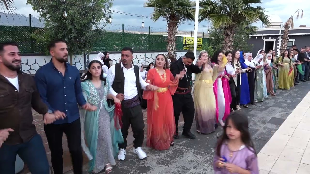 Engin Bozkurt Nişanı Part 1 ( Grup Hozan Azad Silopi ) 2024