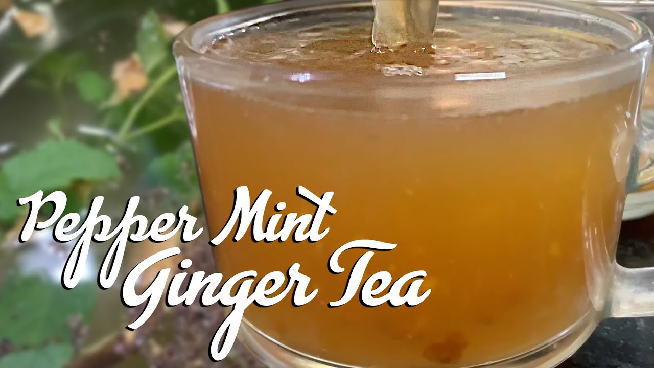 Pepper Mint Ginger Tea Recipe | Immunity Boosting Tea | Tea Recipe | Harpal Singh Sokhi