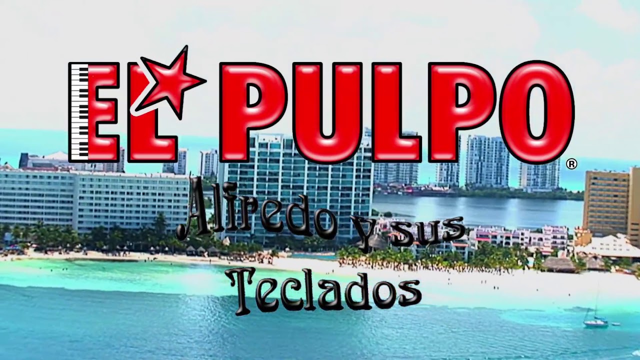 El tiburón -  El pulpo Alfredo y sus teclados