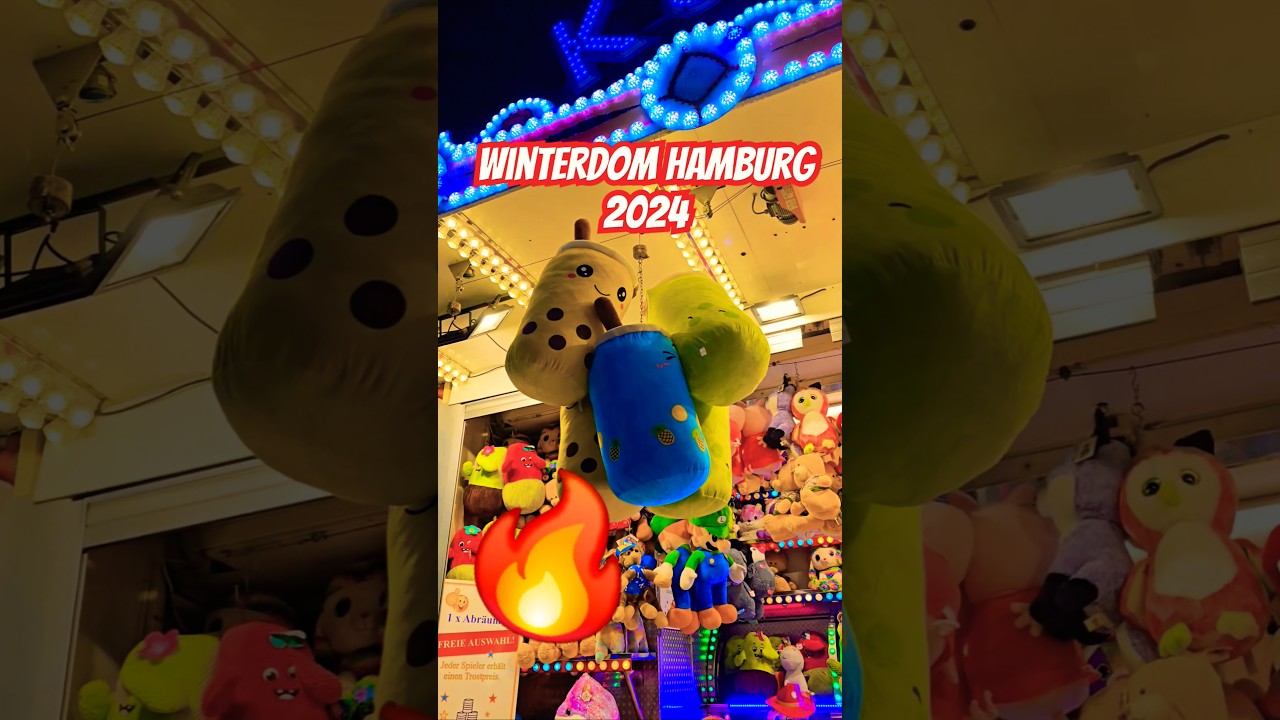 🤯THE AMAZING WINTERDOM✨️IN HAMBURG 2024! #winterdom #hamburg #hamburgerdom