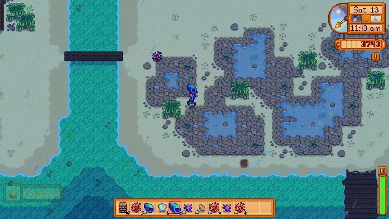 Stardew Valley_20260223034037