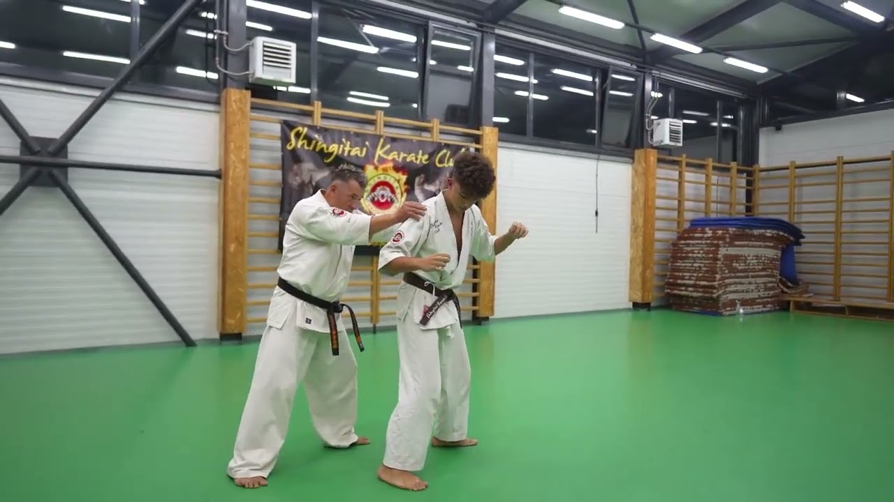 Ashihara Karate Romania,Campionii Shingitai si Sensei Liviu Tabacaru
