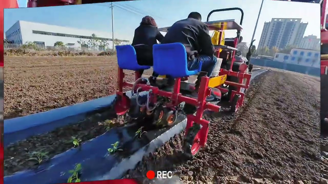 Two Row Pepper Tomato Transplanter Successfully tested for European Farmer