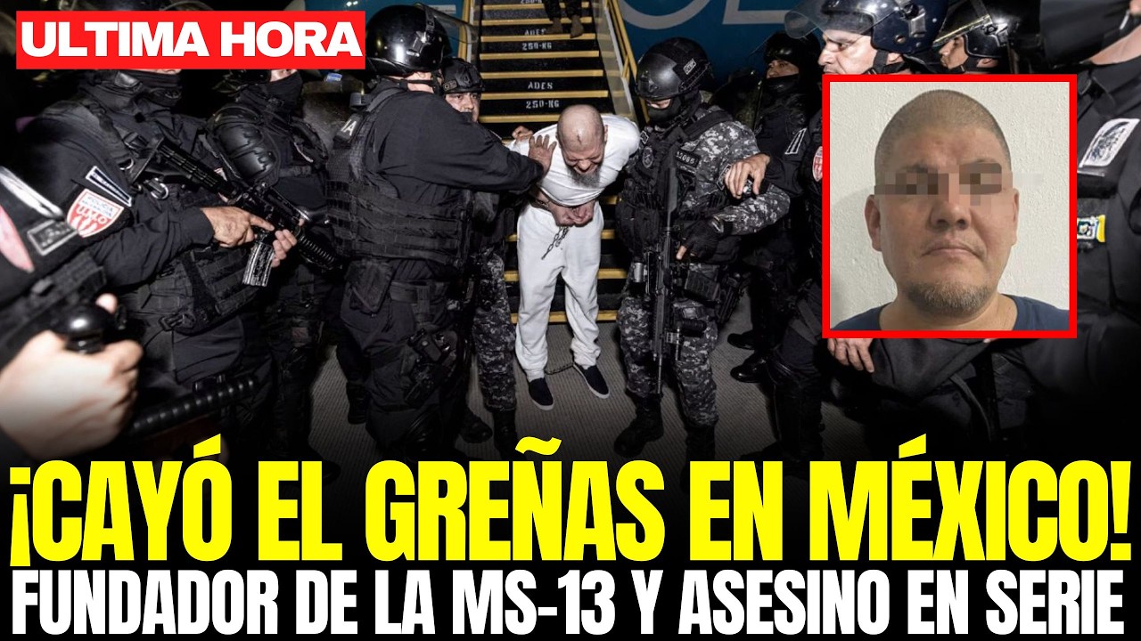 ASÍ CAYÓ el 