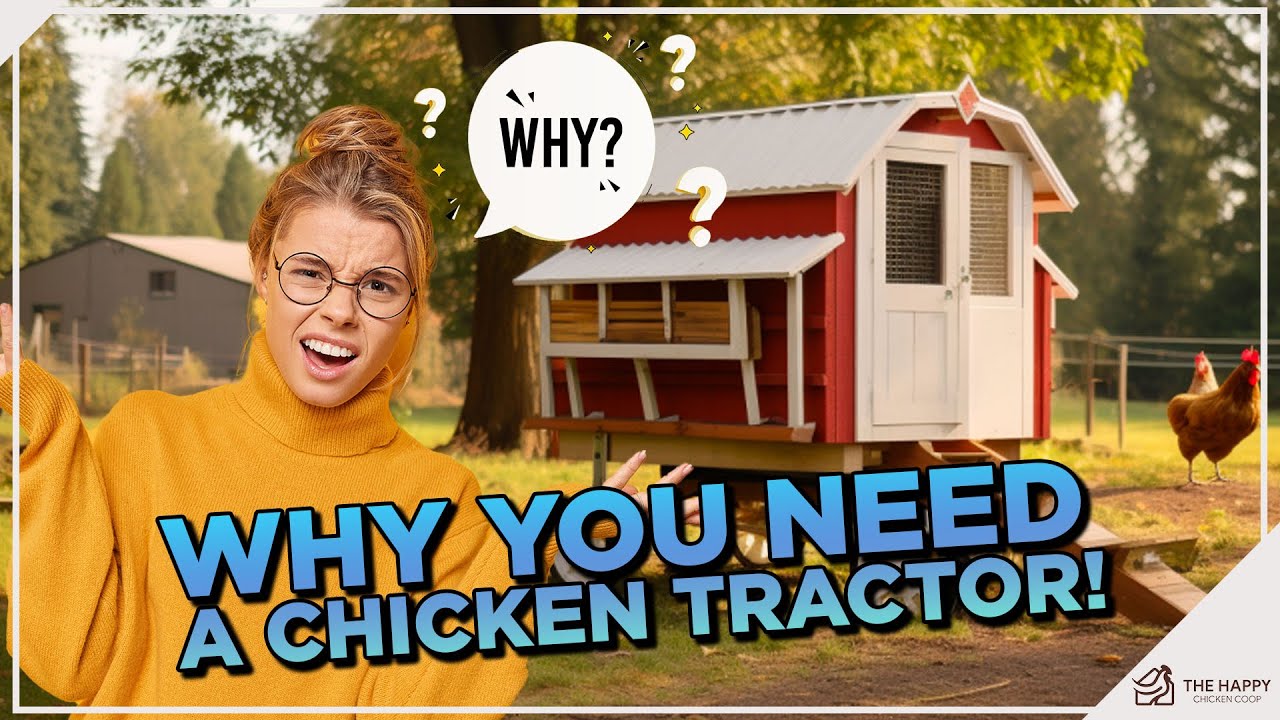 Куриные тракторы: стоят ли они того? Раскрыты плюсы и минусы!