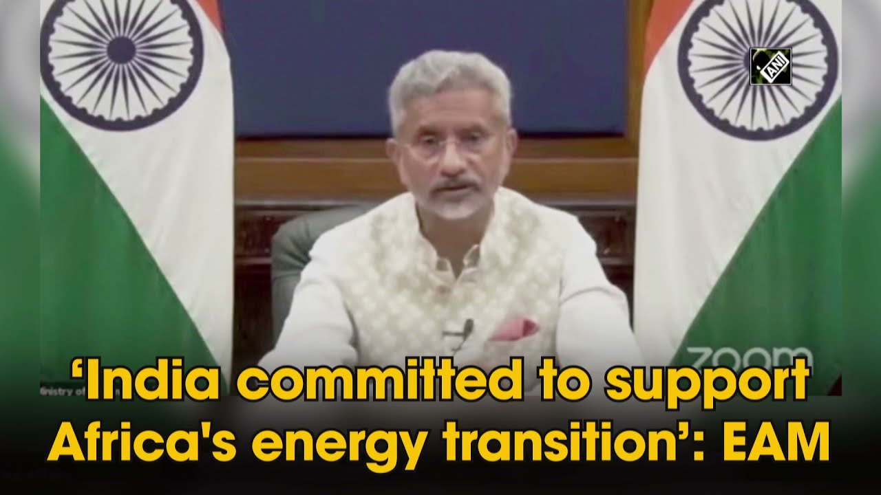 'India committed to support Africa's energy transition': EAM
