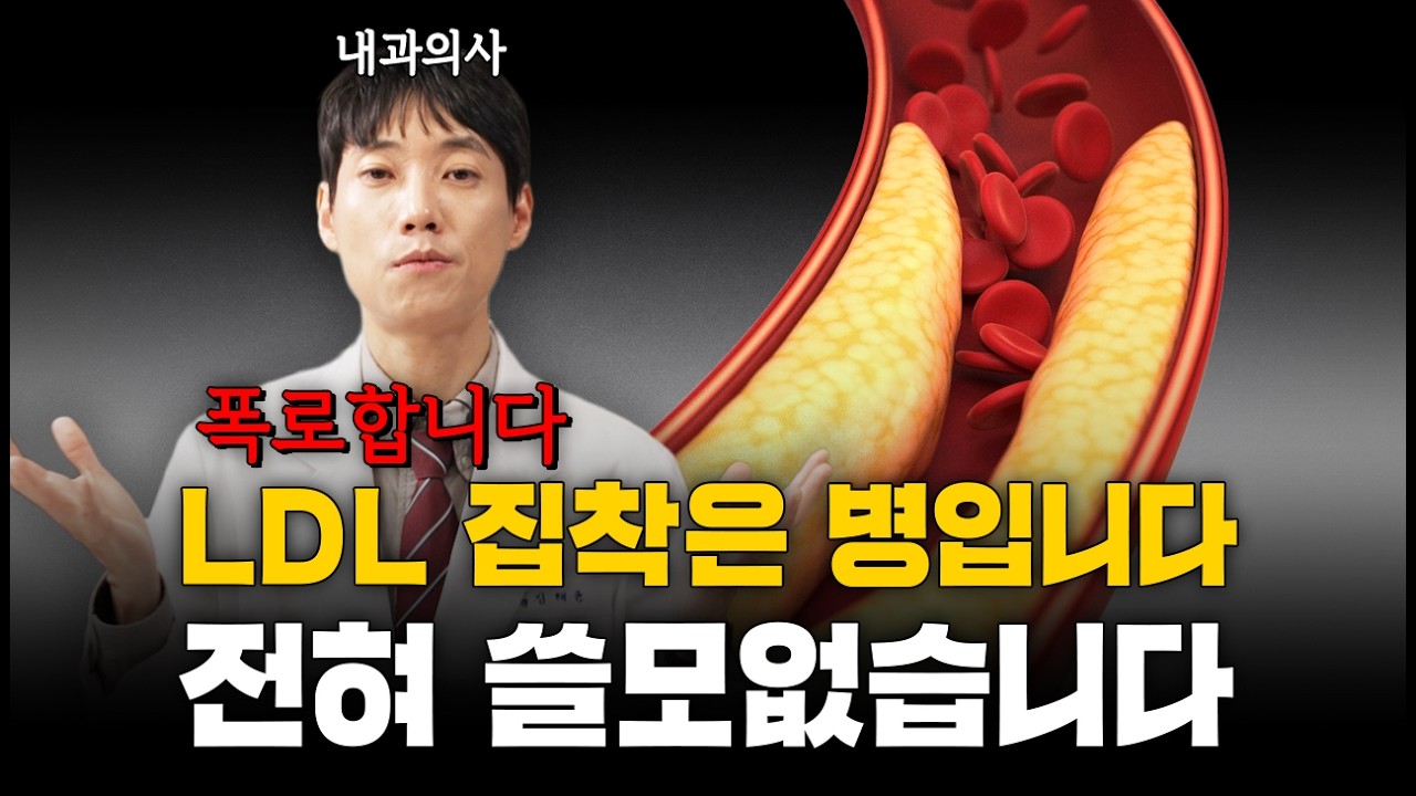 폭로합니다. LDL 집착은 병입니다. 전혀 쓸모없습니다ㅣLDL 콜레스테롤과 아포비 총정리ㅣ닥터딩요