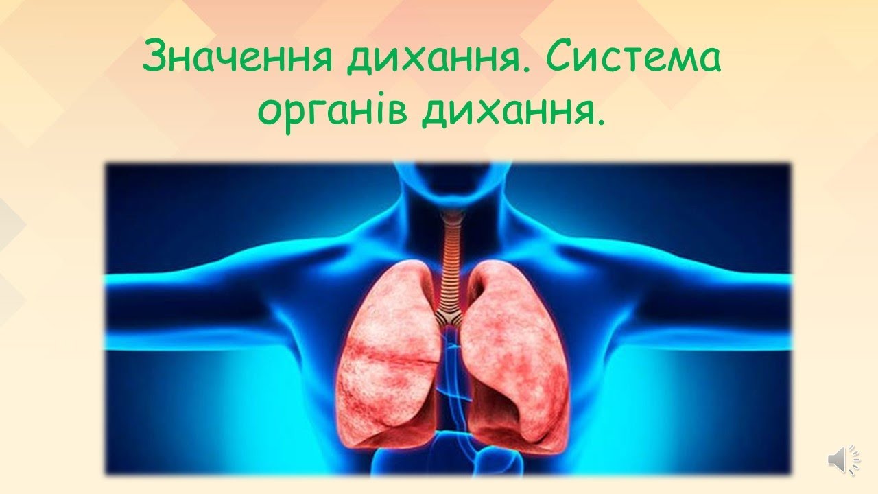Значення дихання. Система органів дихання