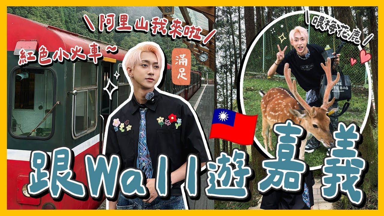 【跟Wall遊🇹🇼嘉義】台灣必坐的阿里山小火車🔥奮起湖老街必吃甜甜圈！經典鐵路便當🍱逐鹿部落文創區🦌餵梅花鹿！