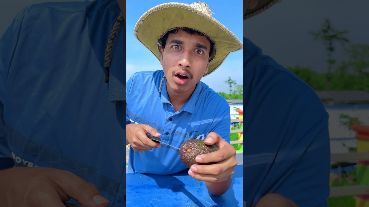 How to cut an Avocado!