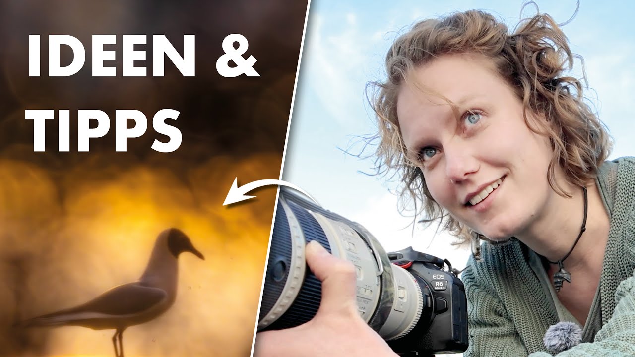 Naturfotografie an unschönen Orten - Motive, Tipps und Technik