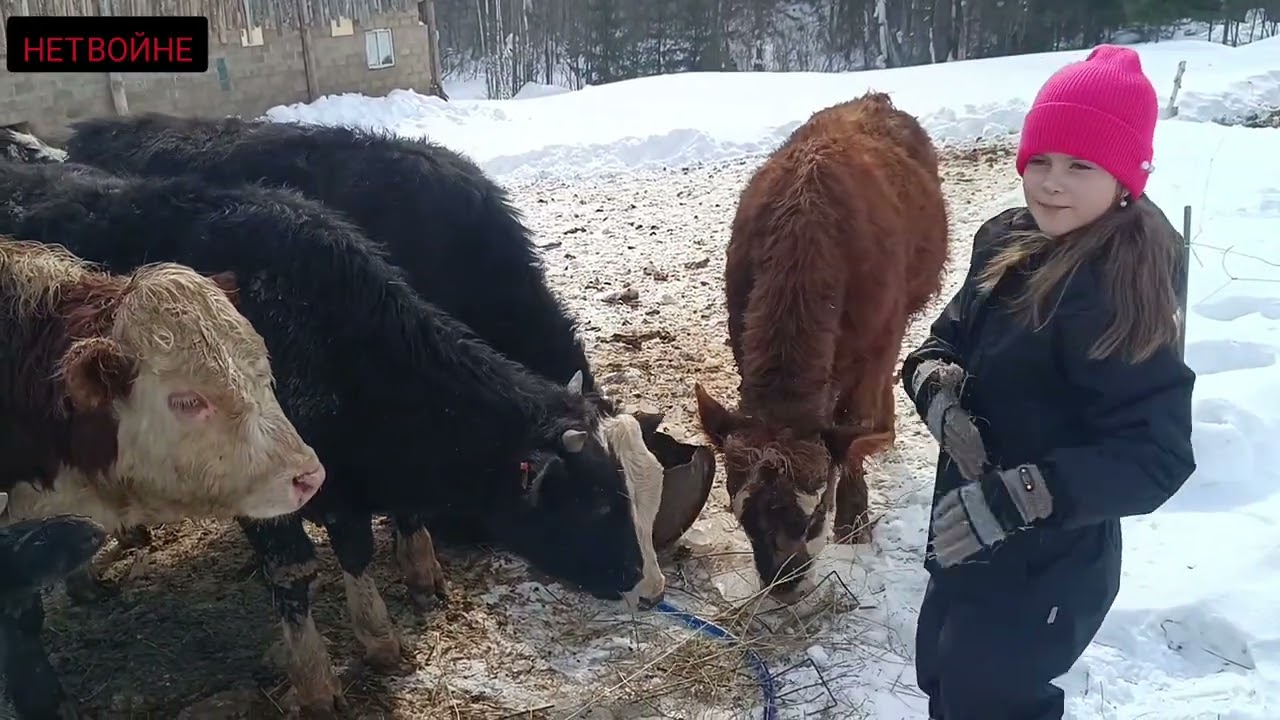 Весна пришла