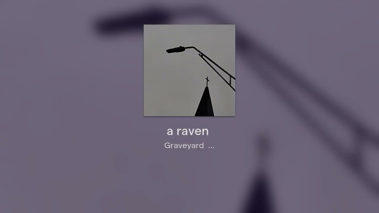 a raven