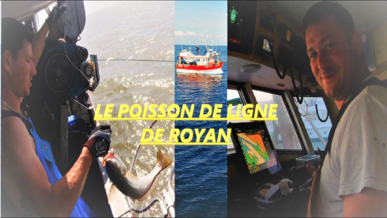 Le poisson de ligne de Royan