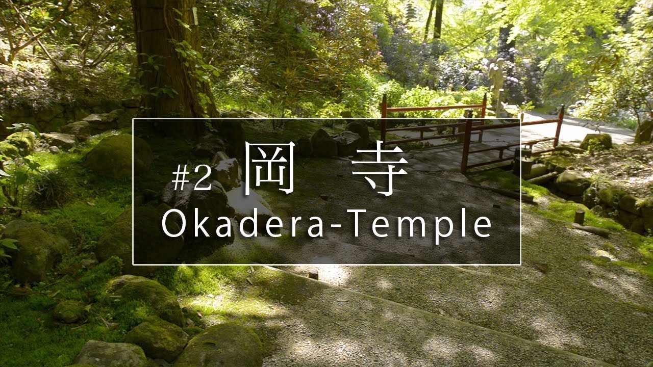 岡寺編「第２話」｜奈良観光コンシェルジュが厄除けのお寺をご紹介：Okadera-Temple in Asuka Village｜Nara