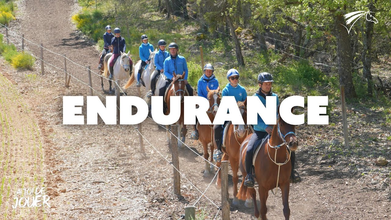 À toi de jouer - Endurance