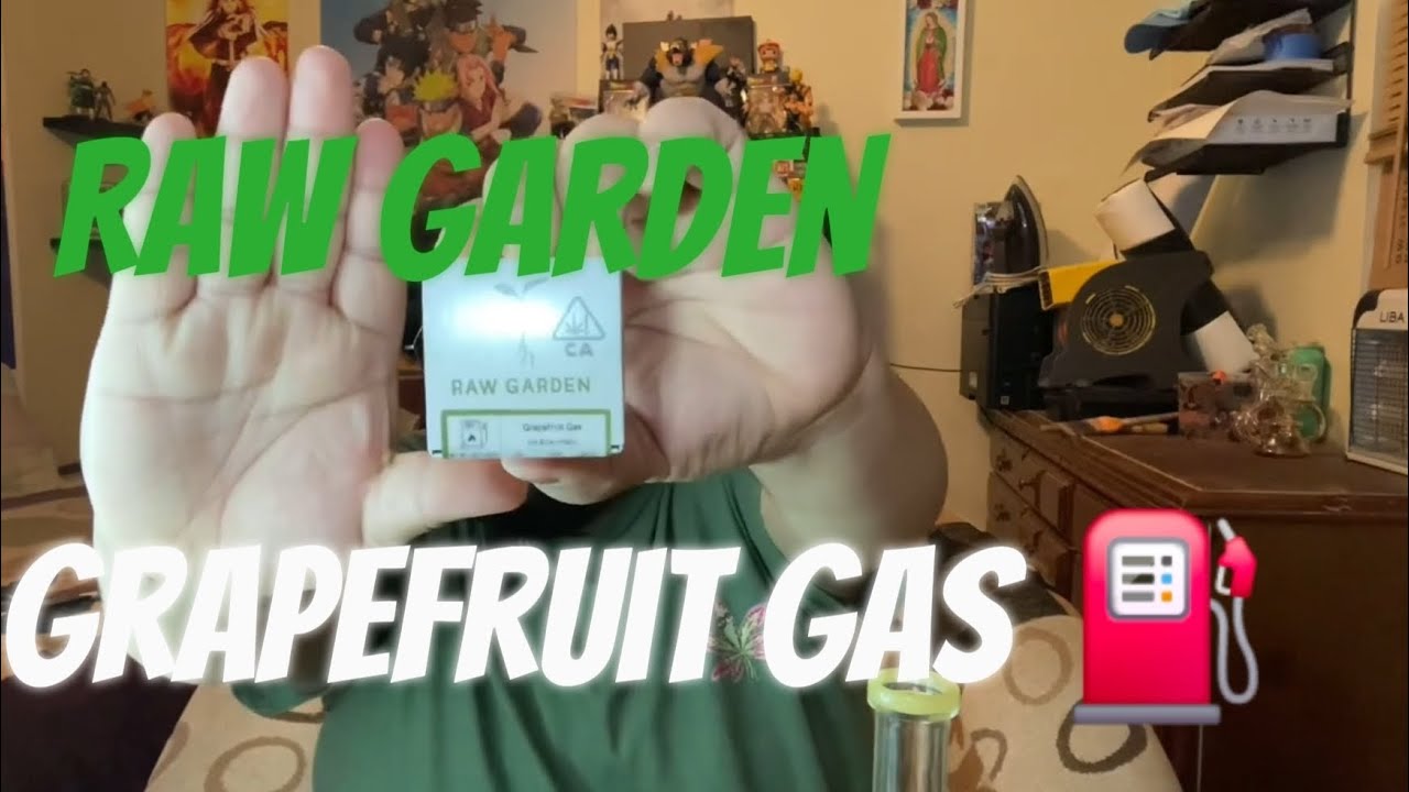 GrapeFruit Gas⛽️ [Raw Garden Live Resin Review]