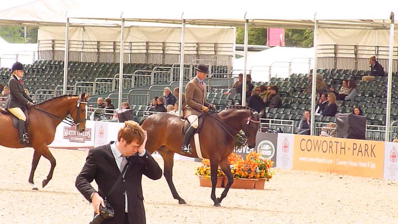 The 2013 Royal Windsor Horse Show