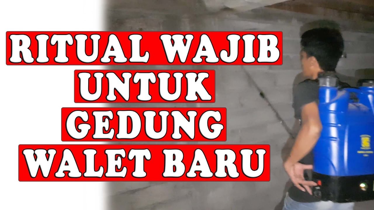 RITUAL YANG TIDAK BOLEH KAMI LEWATKAN PADA GEDUNG WALET BARU AGAR BANYAK BURUNG WALET MASUK