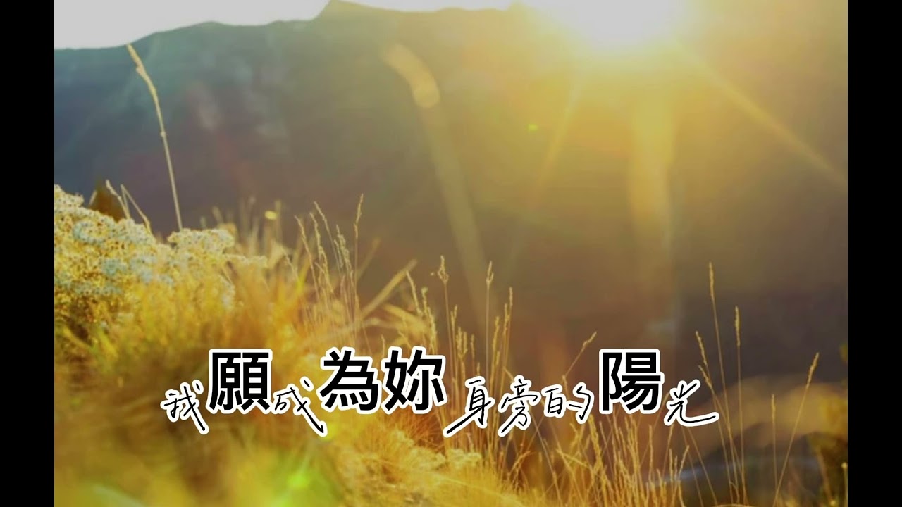 指引光