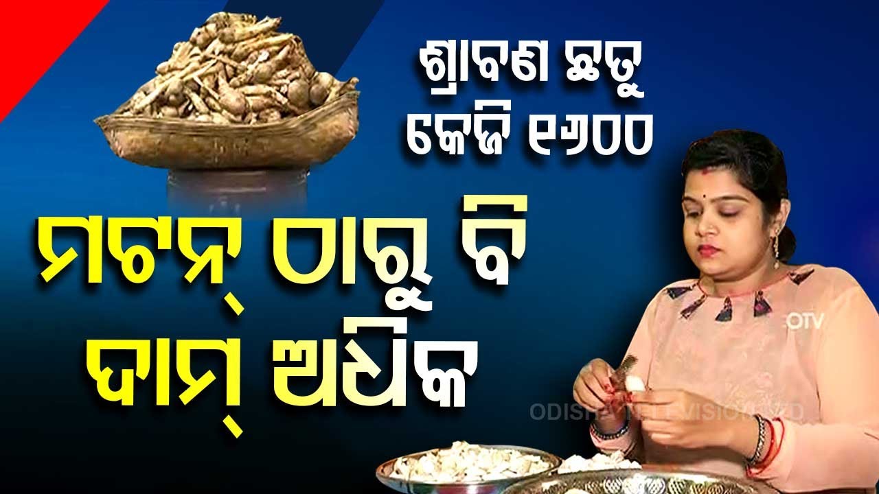 Special Story | Koraput’s Shravan Mushroom in demand, costs double than mutton price