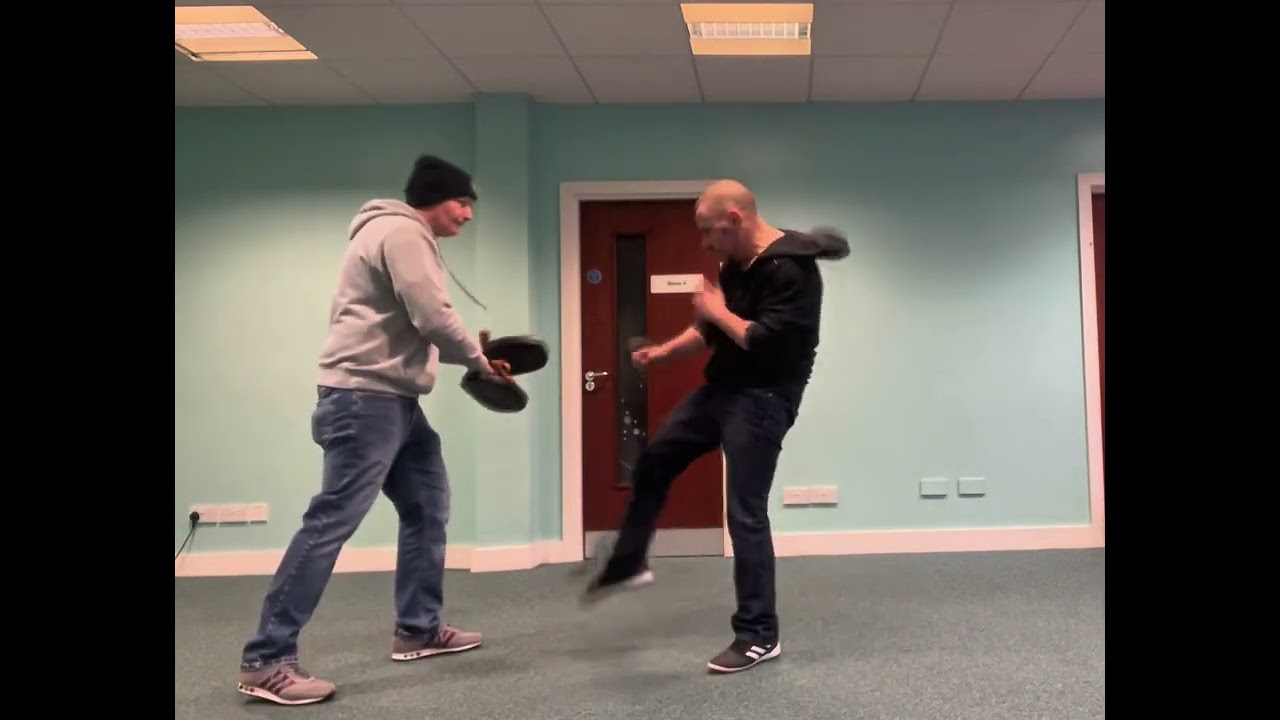 Random left and right JKD kicks from neutral stance