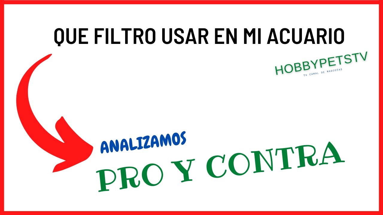 🐠 Filtros para Acuarios /✅ Que filtro Usar ....Analizamos Pro y Contra