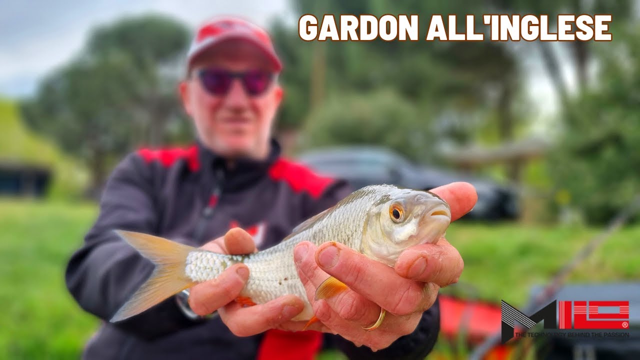 Come PESCARE CON L'INGLESE SCORREVOLE i Gardon - MILO TV