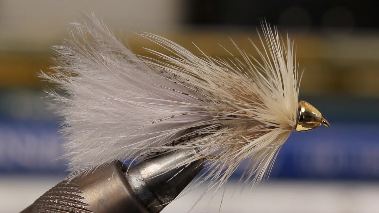 Moto's Minnow