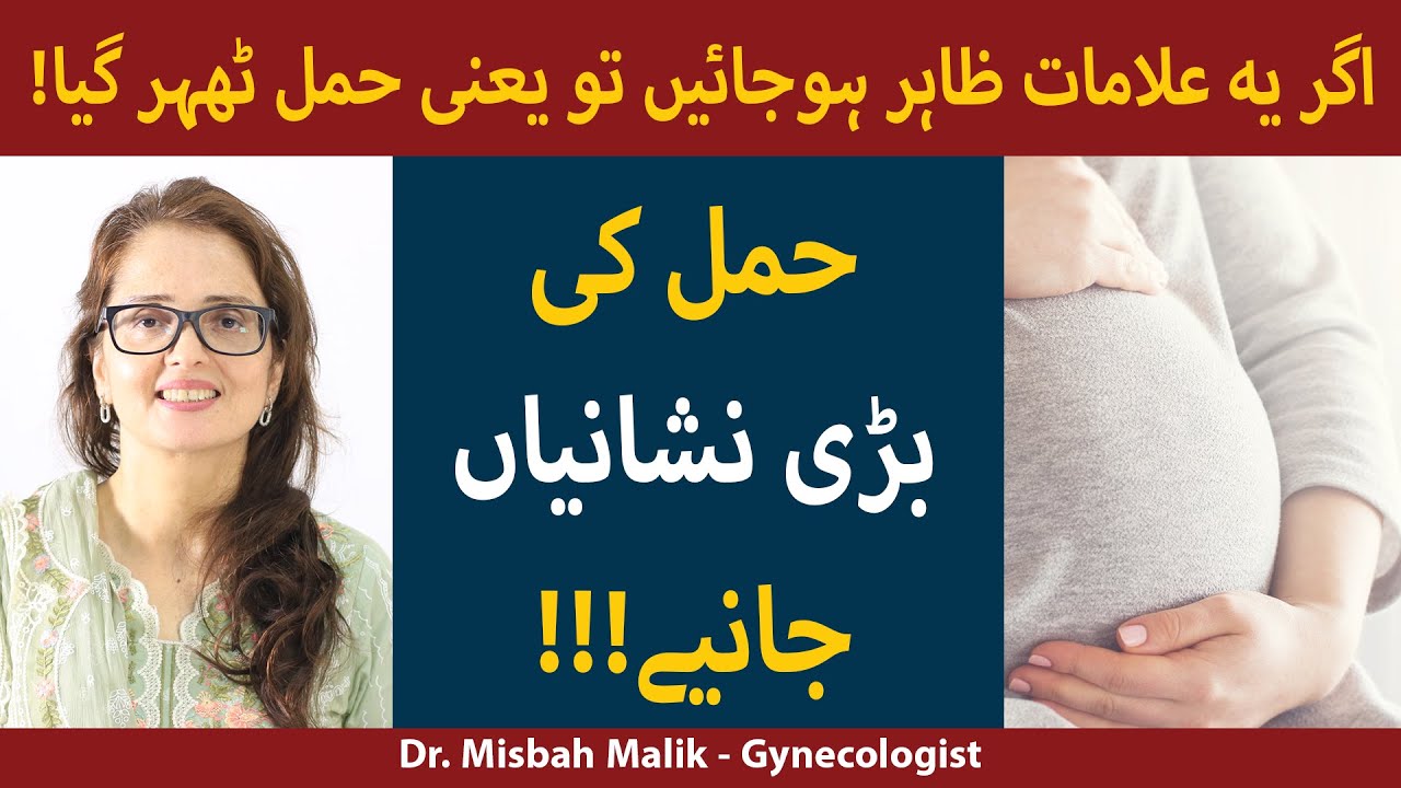 Early Pregnancy Symptoms In Urdu/Hindi | Hamal Ki Nishaniyan | Pregnancy Ki Alamat In Urdu