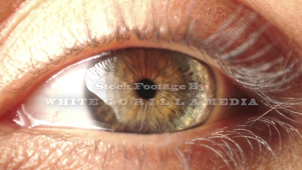 Eyes Opening Stock Footage - Eye Iris Contracting