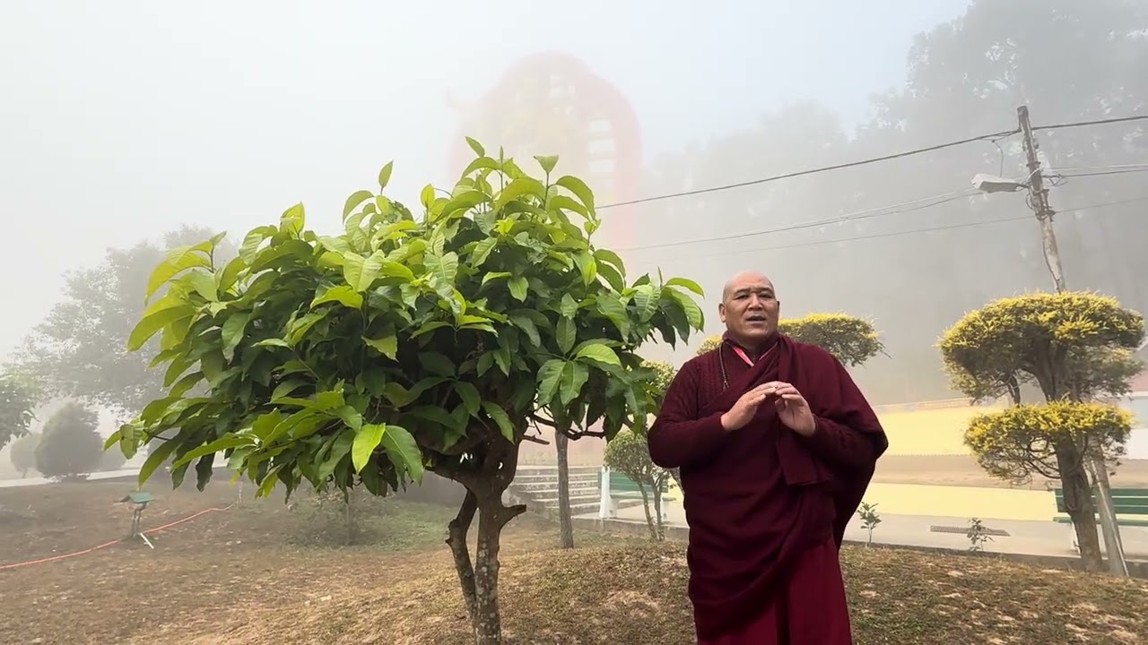 གུ་རུའིཚེས་བཅུའི་ཕན་ཡོན་ཚ་བོ་ཚ་བོ།