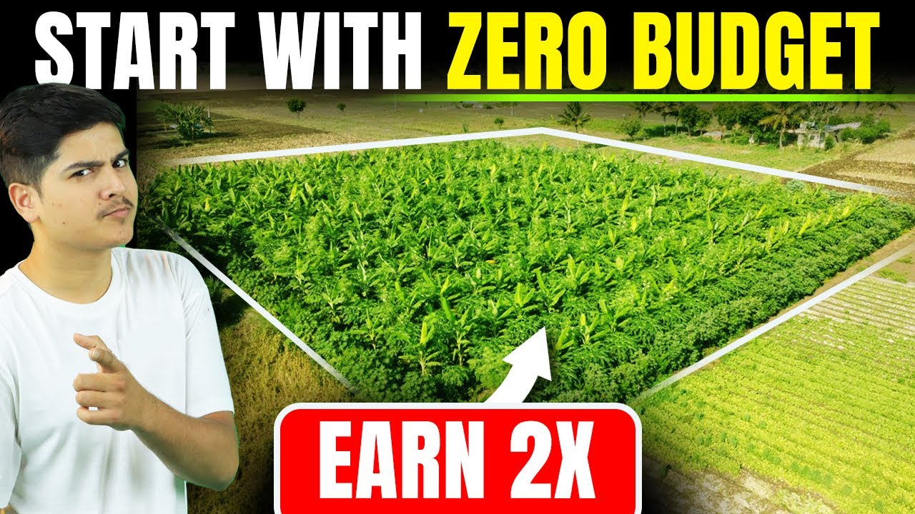 Zero Budget Farming | How to Succeed in Zero Budget Farming