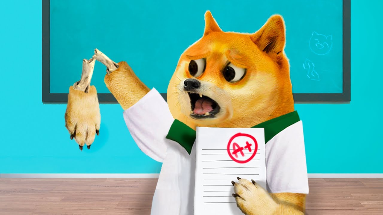 Я сломал руку, чтобы пропустить экзамен 🤕📚