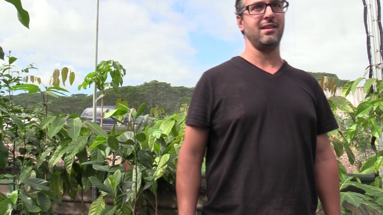 Joe Hewitt's  Fruit Farm Project