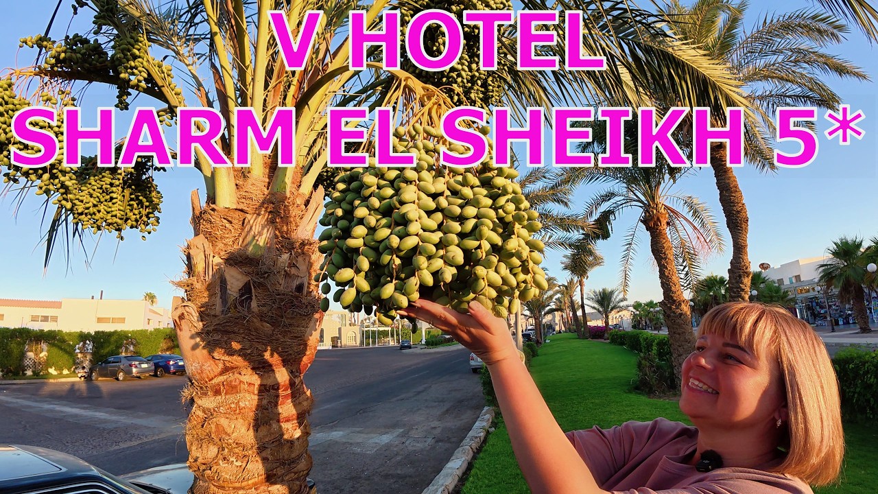 V HOTEL SHARM EL SHEIKH 5* - ПЕННОЕ ПАТИ - ПРОБУЕМ МОНГОЛЬСКУЮ КУХНЮ - ОБСТАНОВКА ВНЕ ОТЕЛЯ