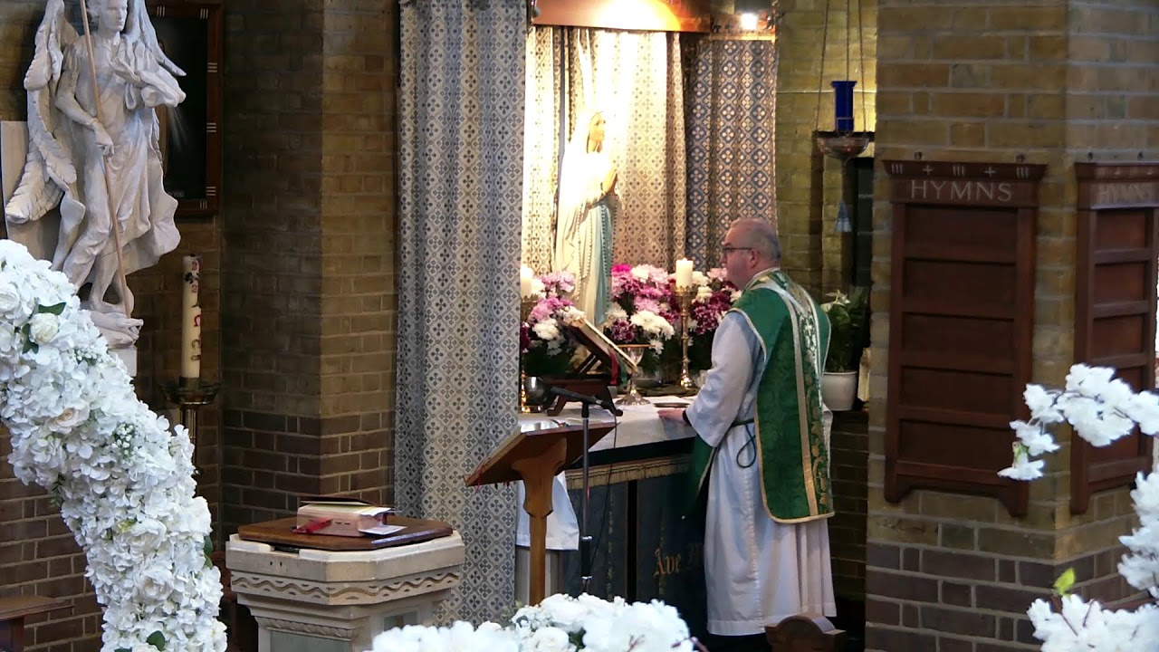 Mass for 17th February 2026 (Feria)