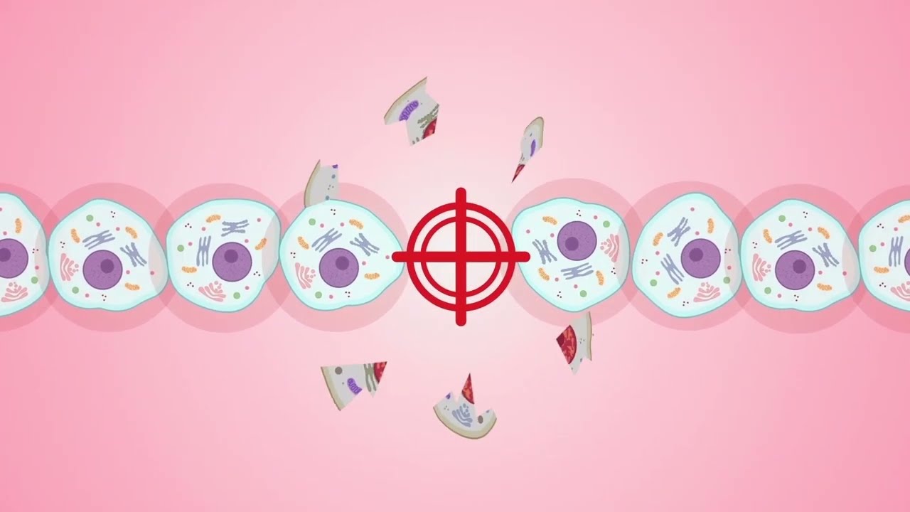 How do Radiopharmaceuticals Work?
