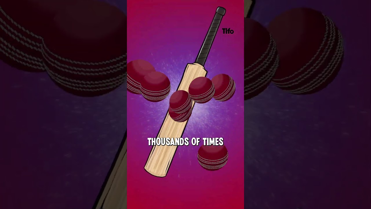Why do cricket bats have to be knocked in?