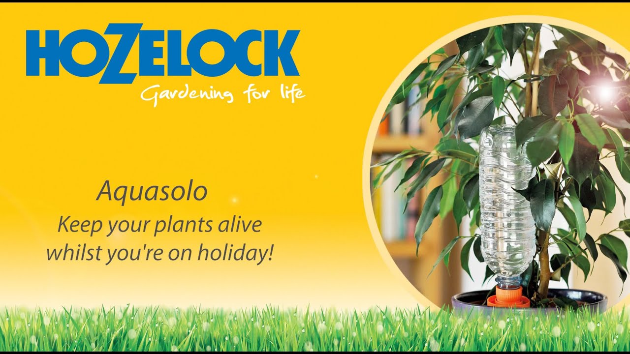 Hozelock | Aquasolo Watering Cone | Indoor Plant Watering
