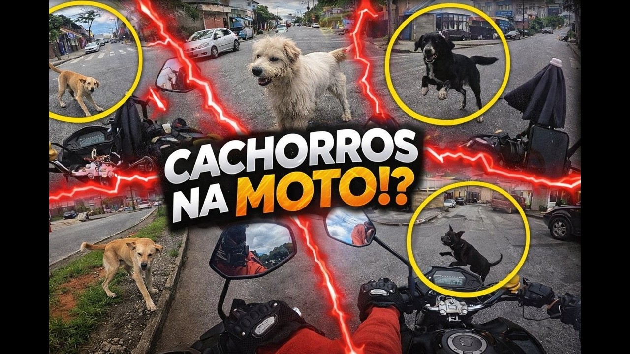 Caramelos, amigos ou inimigos ?