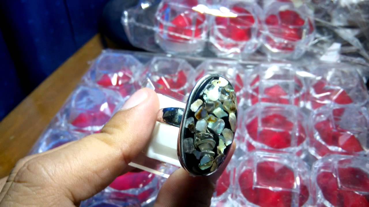 Shell 004