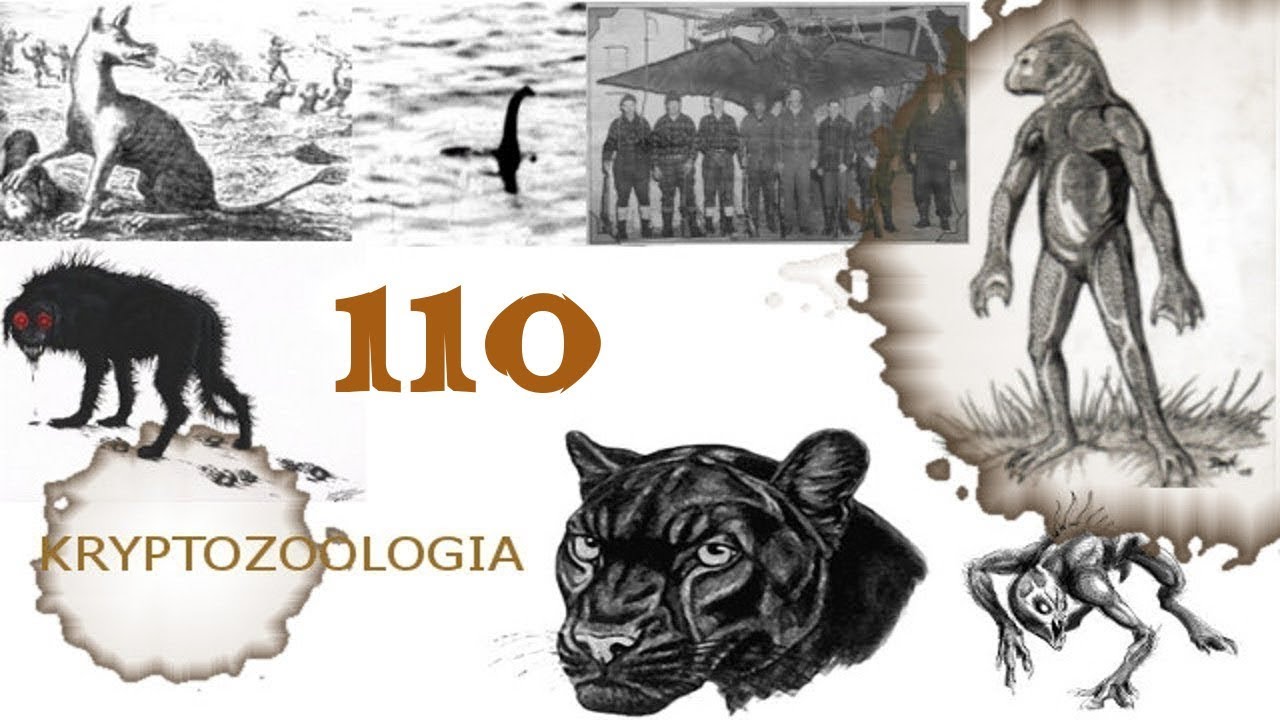 110# Kryptozoologia - Waitoreke