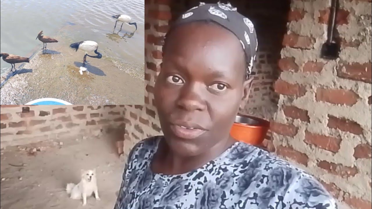 Нужна ваша помощь в строительстве дома моей мечты в Африке 🇰🇪
