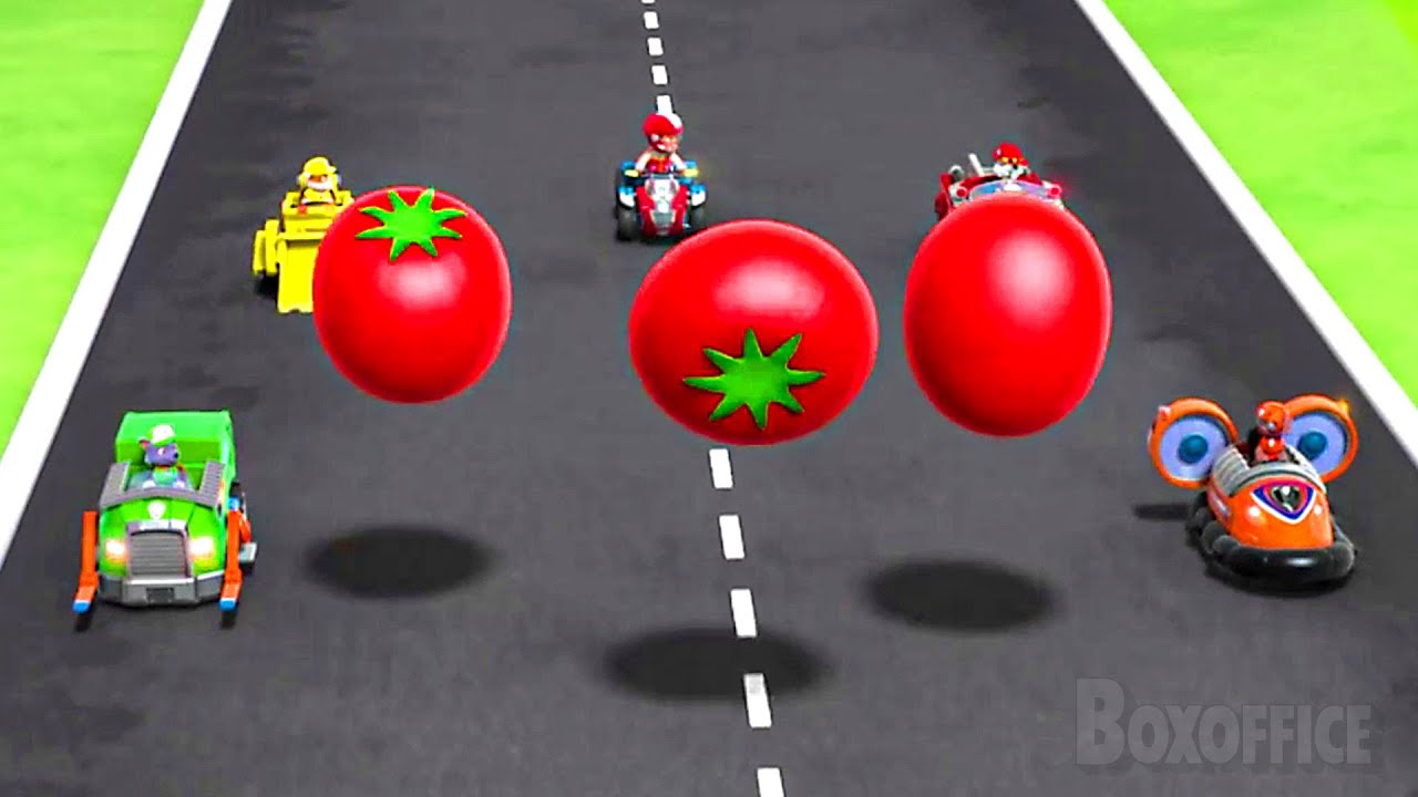 The PAW Patrol's Giant Tomato Race | PAW Patrol Series | CLIP