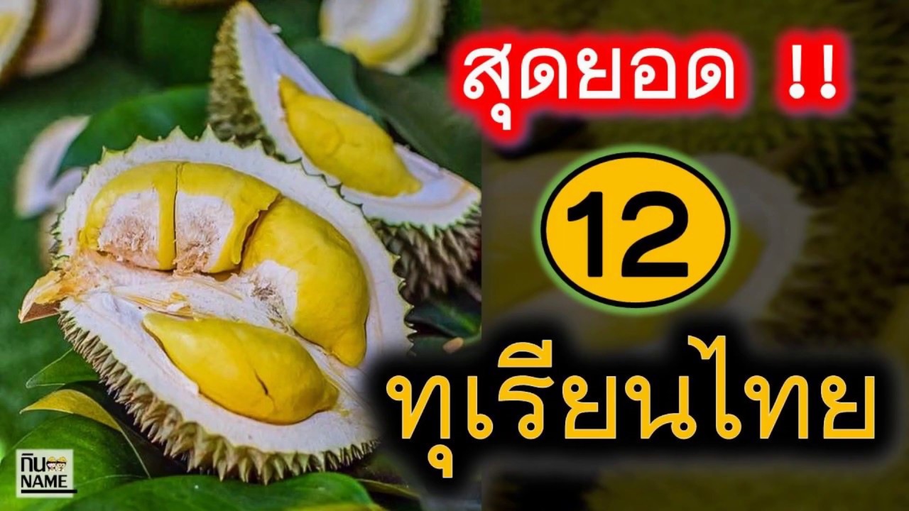 12 พันธุ์ทุเรียนไทย แล้วคุณล่ะ รู้จักไหม?  l สาระ...น่าฮู้ l กินName